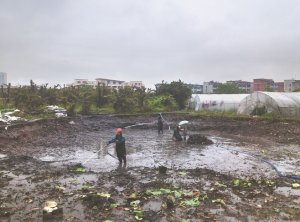 临江河道鱼塘清淤